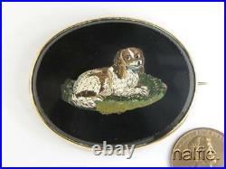 QUALITY ANTIQUE GOLD HAND CRAFTED MICRO MOSAIC SPANIEL DOG BROOCH c1860