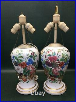 Rare Two Antique Victorian Hand Painted Bristol Glass Lamps Flowers & Birds