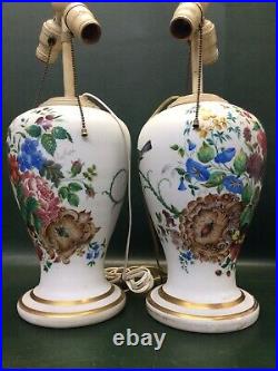 Rare Two Antique Victorian Hand Painted Bristol Glass Lamps Flowers & Birds