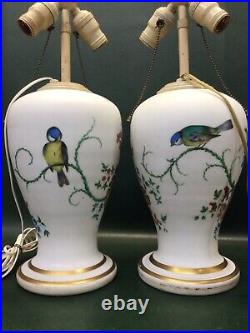 Rare Two Antique Victorian Hand Painted Bristol Glass Lamps Flowers & Birds