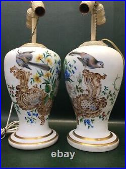 Rare Two Antique Victorian Hand Painted Bristol Glass Lamps Flowers & Birds