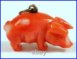 SUPERB Antique Victorian Hand Carved Coral PIG Charm Pendant w Gold Bail FINE