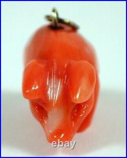SUPERB Antique Victorian Hand Carved Coral PIG Charm Pendant w Gold Bail FINE