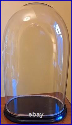 Very Large Antique Victorian Hand Blown Glass Dome With Ebonised Base H47cms VGC