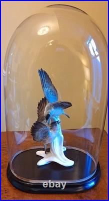 Very Large Antique Victorian Hand Blown Glass Dome With Ebonised Base H47cms VGC