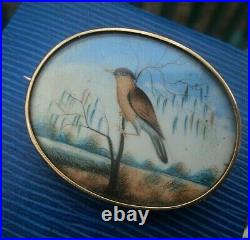 Victorian 15ct Gold Sweetheart / Memorial Brooch Photo Locket Hand Painted Bird