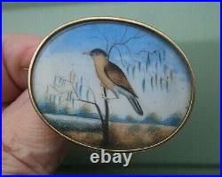 Victorian 15ct Gold Sweetheart / Memorial Brooch Photo Locket Hand Painted Bird