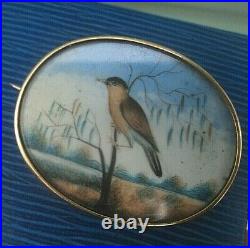 Victorian 15ct Gold Sweetheart / Memorial Brooch Photo Locket Hand Painted Bird