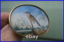 Victorian 15ct Gold Sweetheart / Memorial Brooch Photo Locket Hand Painted Bird