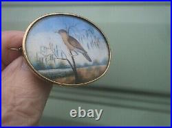 Victorian 15ct Gold Sweetheart / Memorial Brooch Photo Locket Hand Painted Bird