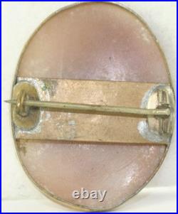 Victorian Antique Blooming Flower Cameo Pin Bouquet 1870's