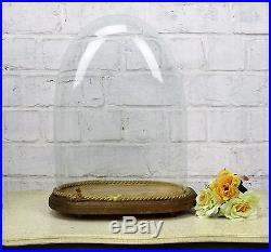 Victorian Antique Oval Hand Blown Glass Dome Globe Display Steampunk 14.56