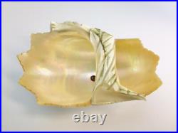 Victorian Hand Carved Conch Shell Basket Bowl Dish Mother of Pearl Antique Victorian Hand Carved Conch Shell Basket Bowl Dish Mother of Pearl Antique