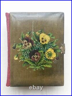 Victorian Hand Painted Album for Cartes de Visite 1880's Unused