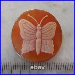 Video 14k Antique Rare Hand Carved Butterfly Cameo Victorian Huge Brooch Pendant