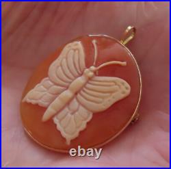 Video 14k Antique Rare Hand Carved Butterfly Cameo Victorian Huge Brooch Pendant