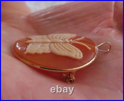 Video 14k Antique Rare Hand Carved Butterfly Cameo Victorian Huge Brooch Pendant