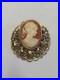 Vintage Hand-Carved Shell Cameo Brooch Pin Victorian / Edwardian Era C Clasp